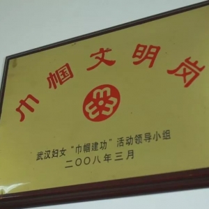 【巾幗文明崗】武漢市環境監測中心分析室：讓天更藍 水更清 土更凈 ... ...