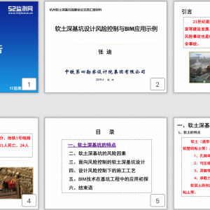 第53期 軟土基坑風險設計控制與BIM應用初探