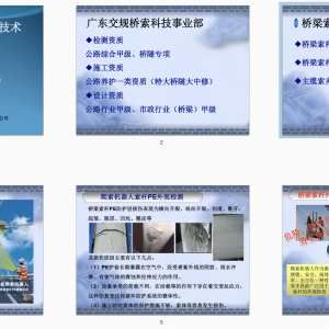 第86期 橋梁索體系特殊檢測技術