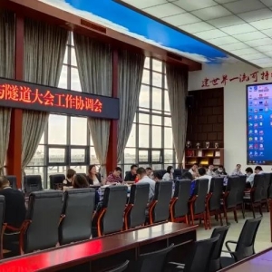 2020(第九屆)國際橋隧大會深中通道專項工作協(xié)調(diào)會成功召開！ ... ...