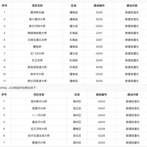 關于連云港市2024年普通國省道公路橋梁健康監測項目的公告