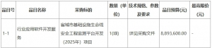 省城市基礎設施生命線安全工程監測平臺開發（2025年）項目招標公告 ...