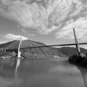 中國科學報：“智能橋梁醫生”來了